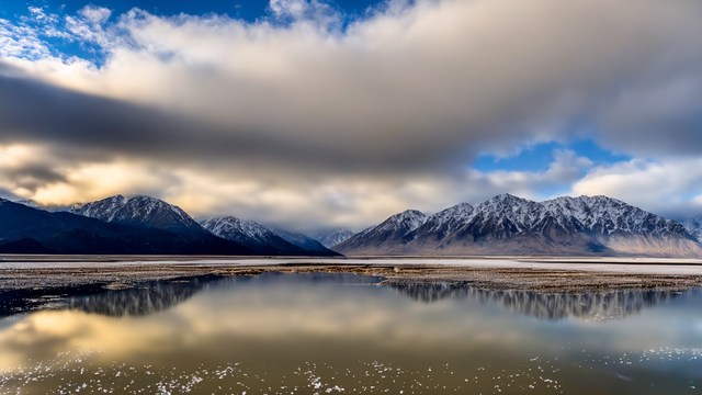 蜜芽成人网站在线观看网址